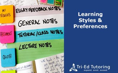 Learning Styles & Preferences