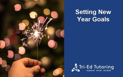 Setting New Year Goals