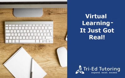 Virtual Learning- It Just Got Real!